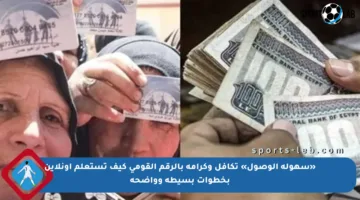 «سهولة الوصول» تكافل وكرامة بالرقم القومي كيف تستعلم أونلاين بخطوات بسيطة وواضحة